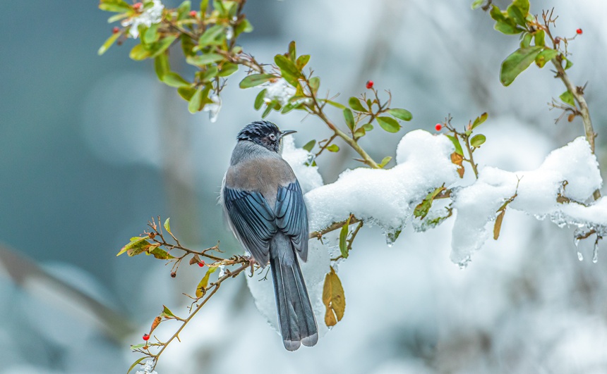 ؑcϴ^(q)ɽƺ(zhn)RδĔzĺ^z