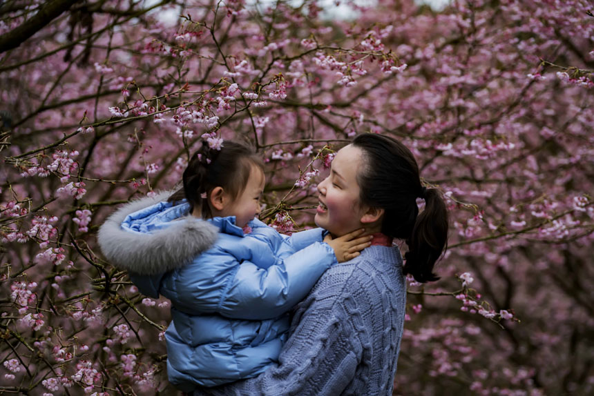 ɽֲ@ѻ`οǰ^pSMz