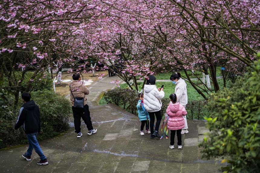 ɽֲ@ѻ`οǰ^pSM(jn)z