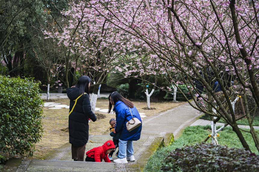 ɽֲ@ѻ(jng)`οǰ(li)^pSM(jn)z