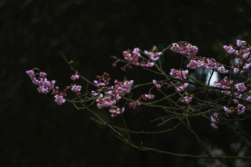 紺£ɽֲ@ѻڳů£M`SM(jn)z