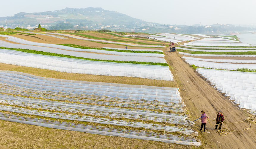 ؑcϴдץr(nng)r_չNo(j)?ci)z