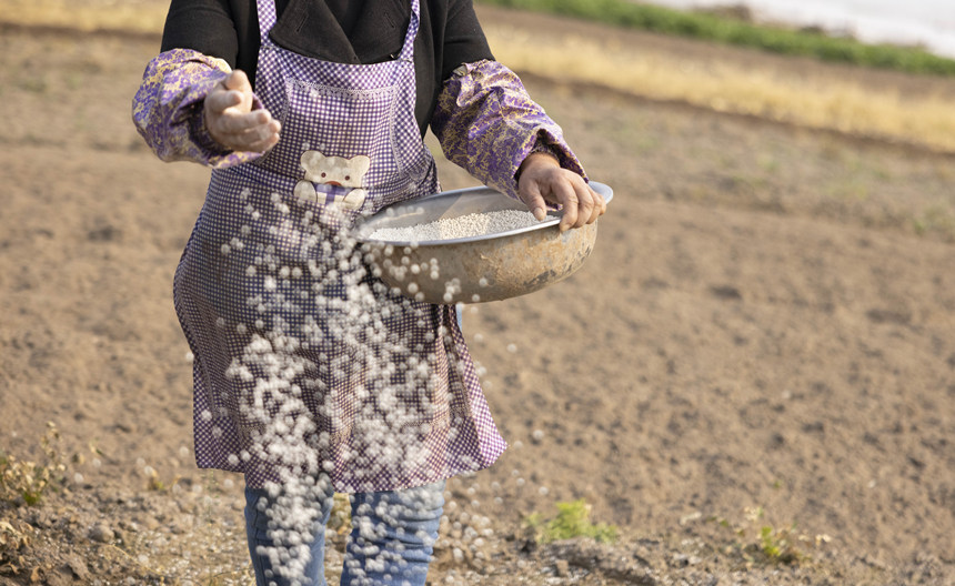 ؑcϴдץr(nng)r(sh)_(ki)չNo(j)?ci)z