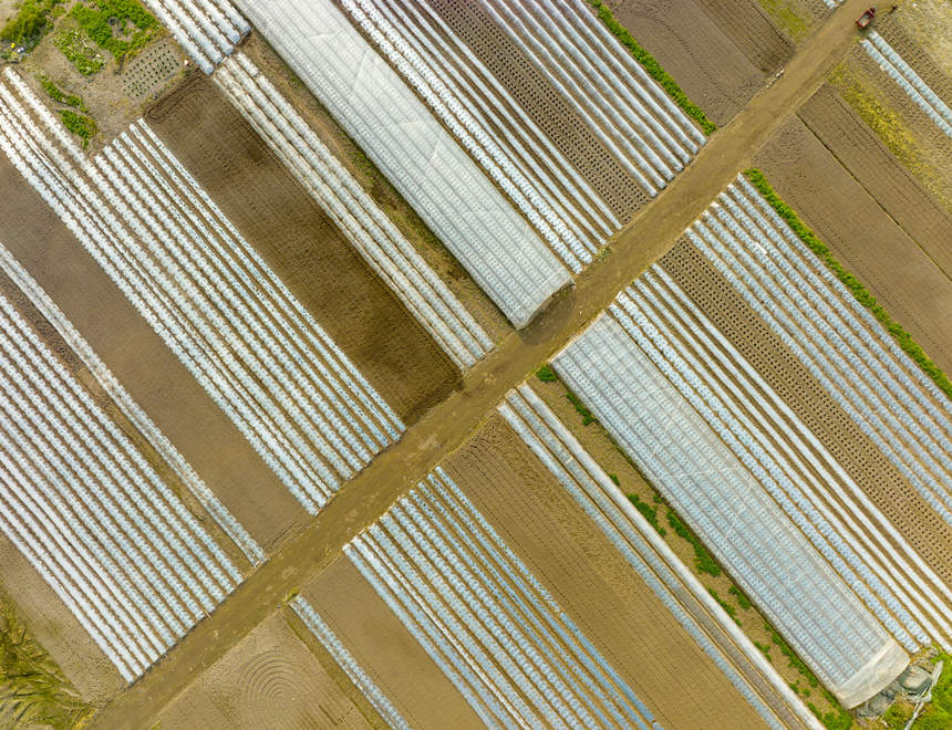 ؑcϴдץr(nng)r(sh)_(ki)չNo(j)?ci)z