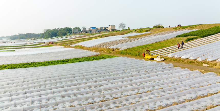 ؑcϴдץr(nng)r(sh)_չNo(j)?ci)z