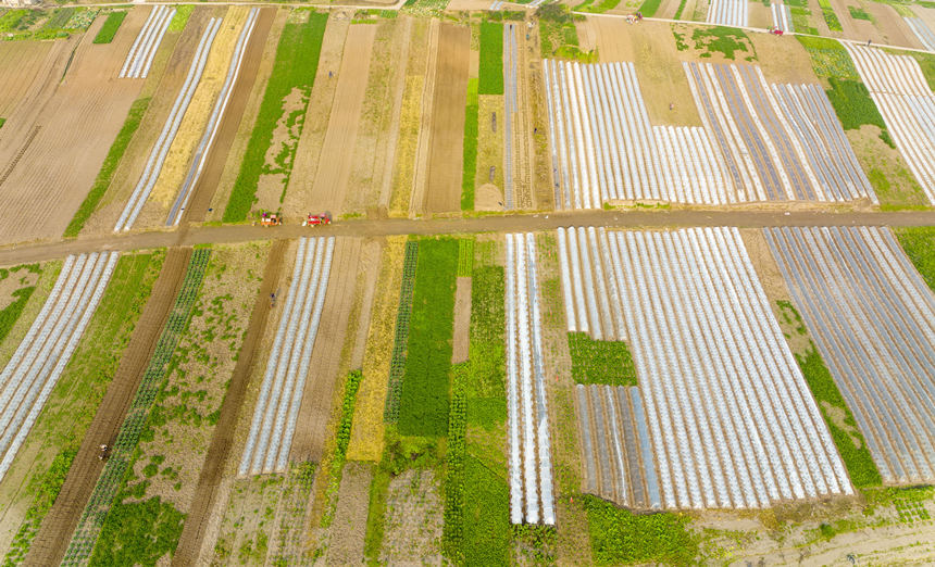 ؑcϴдץr(nng)r(sh)_չNo(j)?ci)z