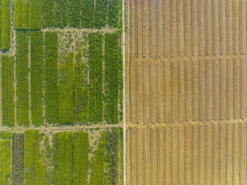 ؑcϴдץr(nng)r(sh)_չNo(j)?ci)z