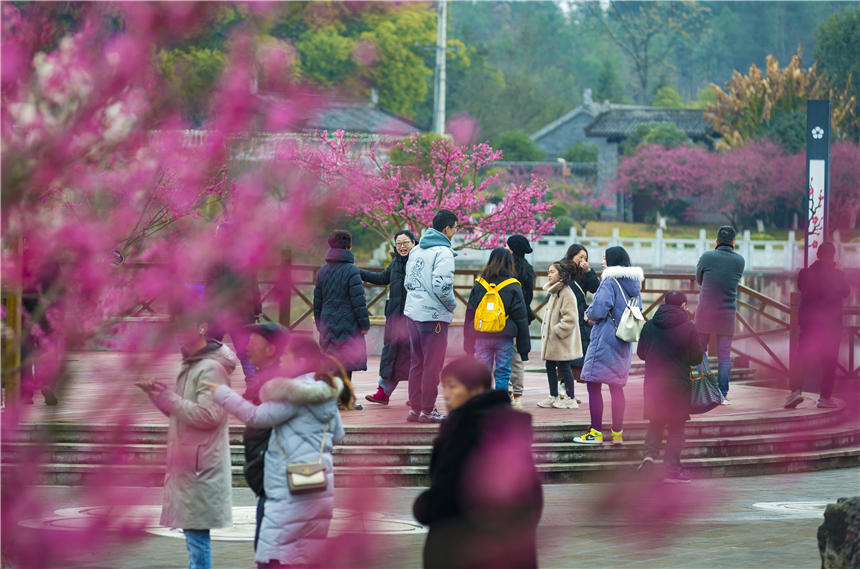 ÷@(ni)÷m(x)`˲οĽz