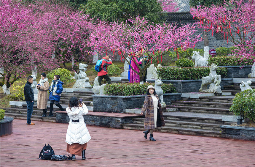 Ȼ_ŵ÷οǰpz