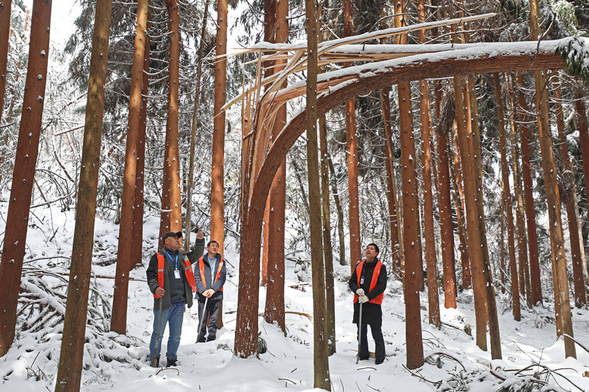 3oֆT鿴eѩĘľwz