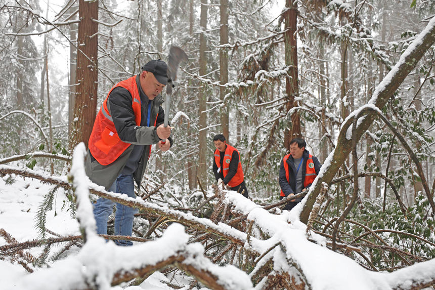 o(h)ֆTօ^(q)ȫwz