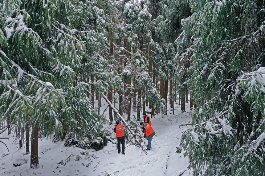 toվoֆTrϱօ^(q)ȫwz