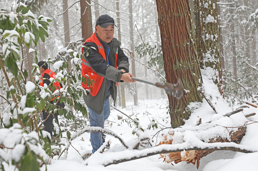 ȽСڲ鿴(sh)ľܓprwz