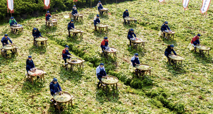 ِF(xin)(chng)SӔz