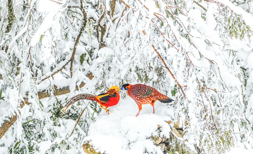 t\uB󣩺ͼtBңz