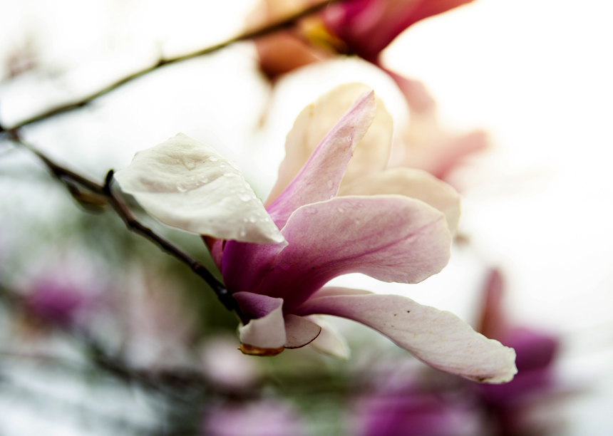 ׵m仨ѩo(j)?ci)z