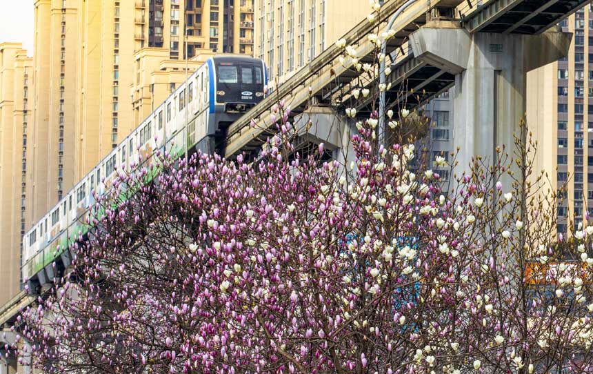 p܉܇ڻСԽ(gu)һĴ쮋oؔz