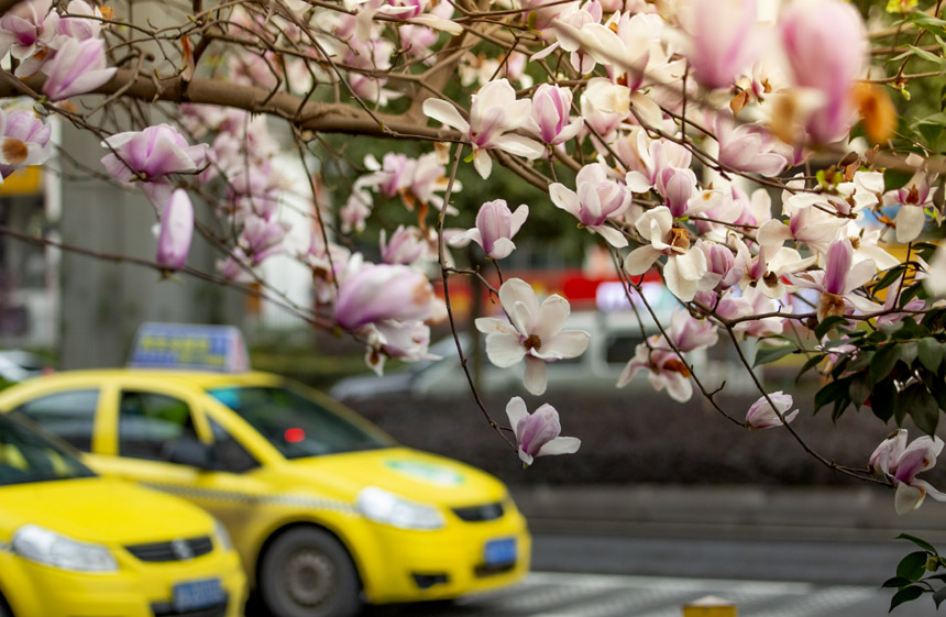 υ^(q)ϴϵm_ѩo(j)?ci)z