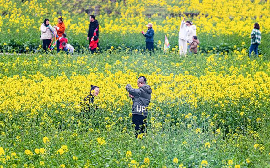 οؑcϴ^(q)|ǽֵ^(q)̤pz