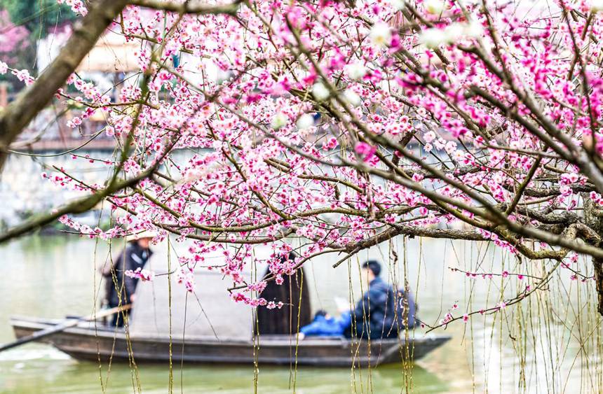 οؑcϴ^(q)÷A@z