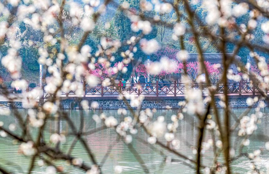 οؑcϴ^(q)÷A@z