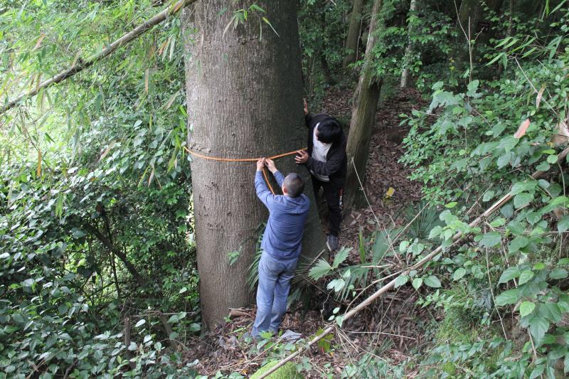 ؑcl(f)F(xin)ϡlΣN·ֲN232(g)2