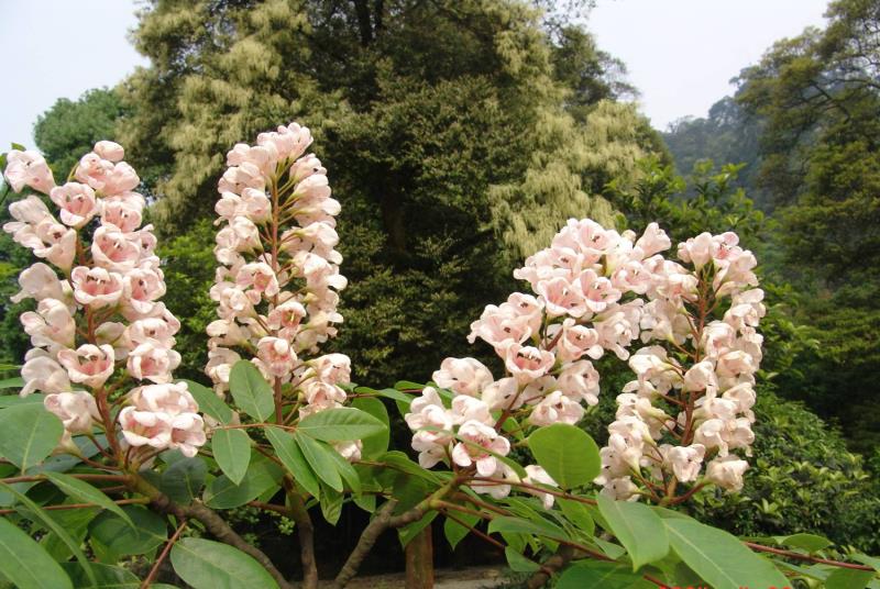 ؑcl(f)F(xin)ϡlΣN·ֲN232