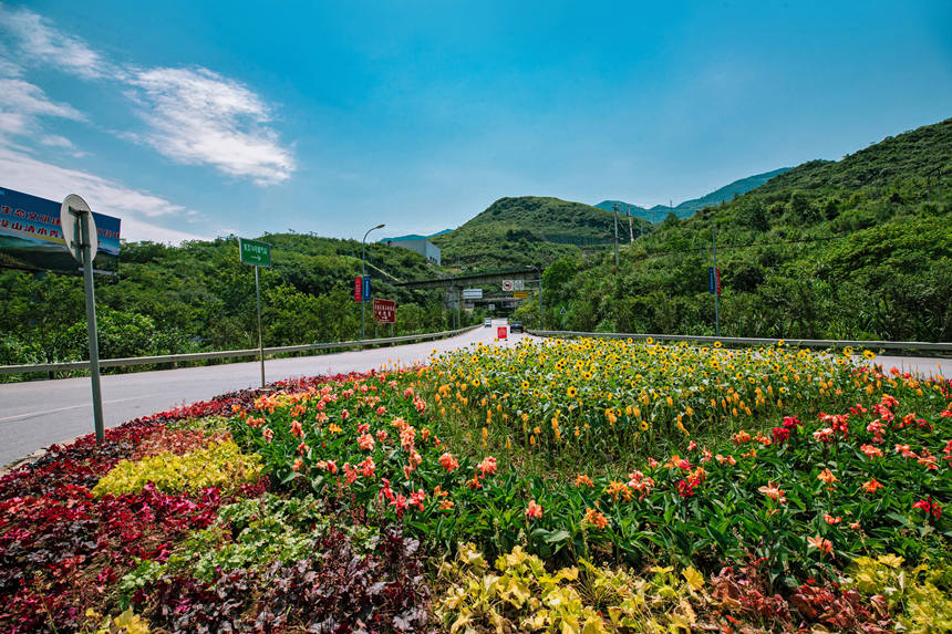 ·ϴⰻȻ^(q)ֹͨD