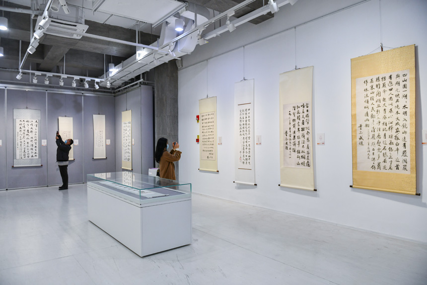 “作始也簡(jiǎn) 將畢也鉅——董必武手跡展”在王琦美術(shù)博物館開(kāi)展。鄒樂(lè)攝