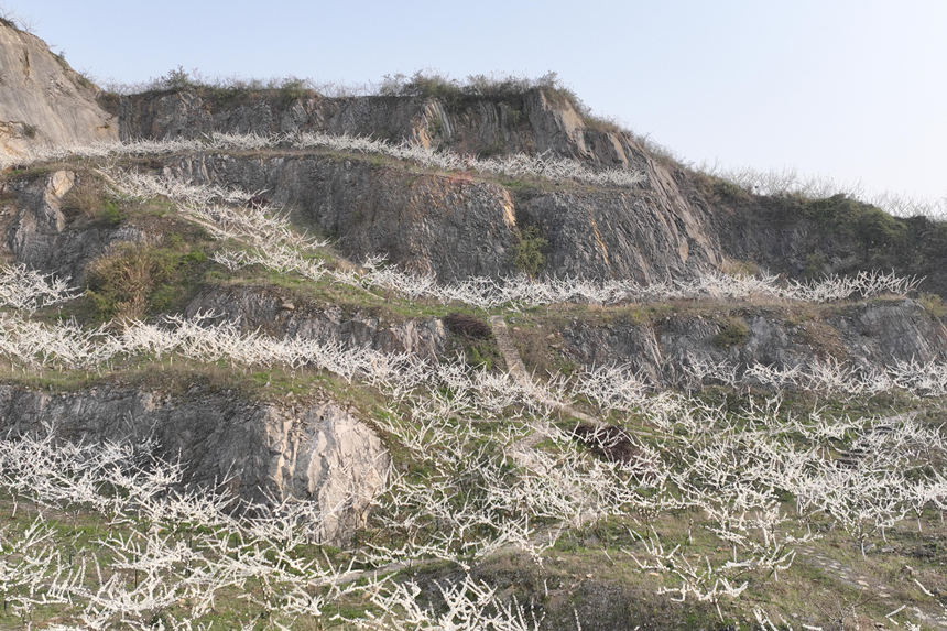 �ؑc�б��Յ^(q��)�o�^�(zh��n)���A�塰�Vɽ���@������͢���z