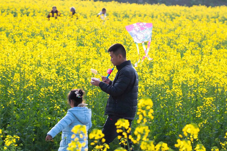 οؑcϴ^(q)|ǽֵ^(q)Ͳ˻pz