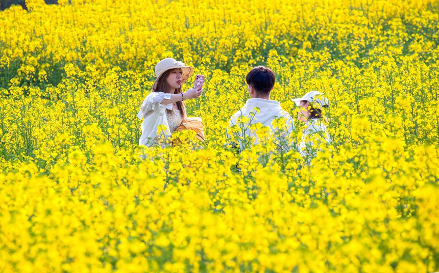 οؑcϴ^(q)|ǽֵ^(q)Ͳ˻pz