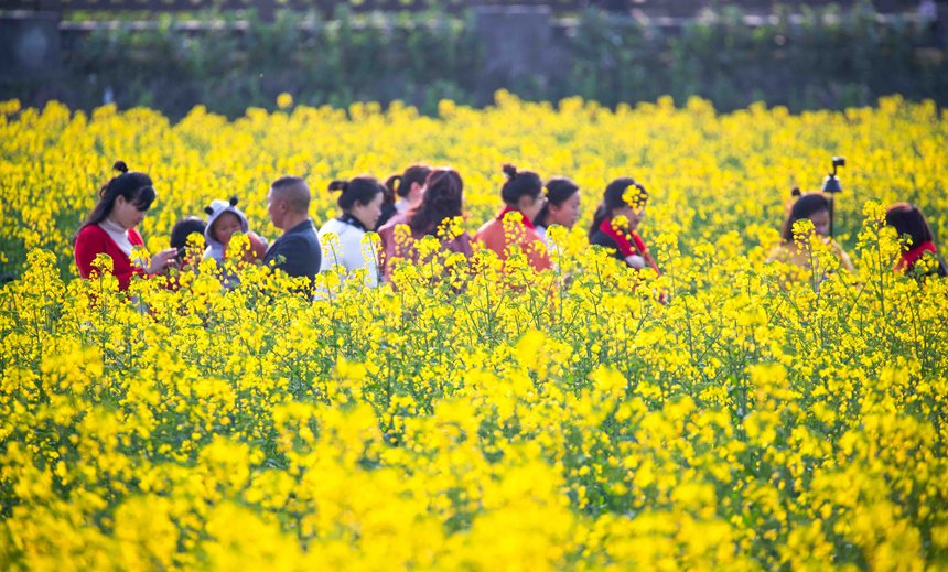 οؑcϴ^(q)|ǽֵ^(q)Ͳ˻pz