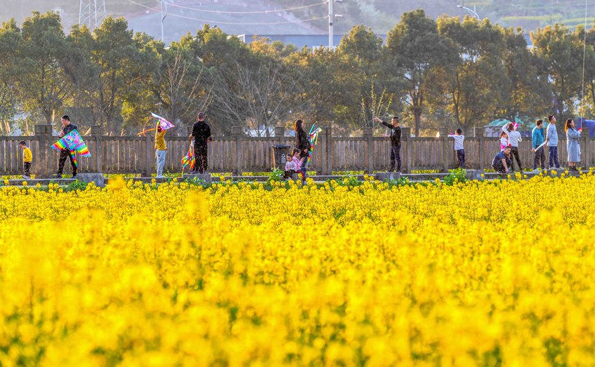 οؑcϴ^(q)|ǽֵ^(q)Ͳ˻pz