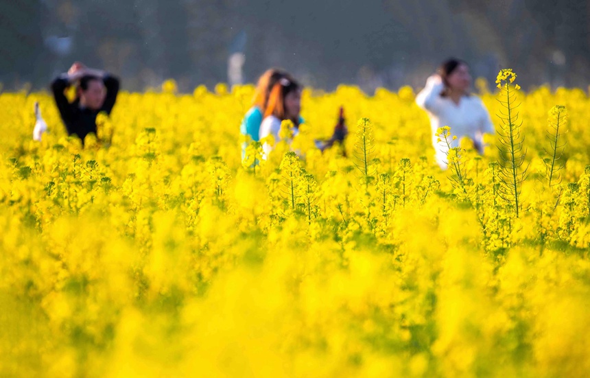 οؑcϴ^(q)|ǽֵ^(q)Ͳ˻pz