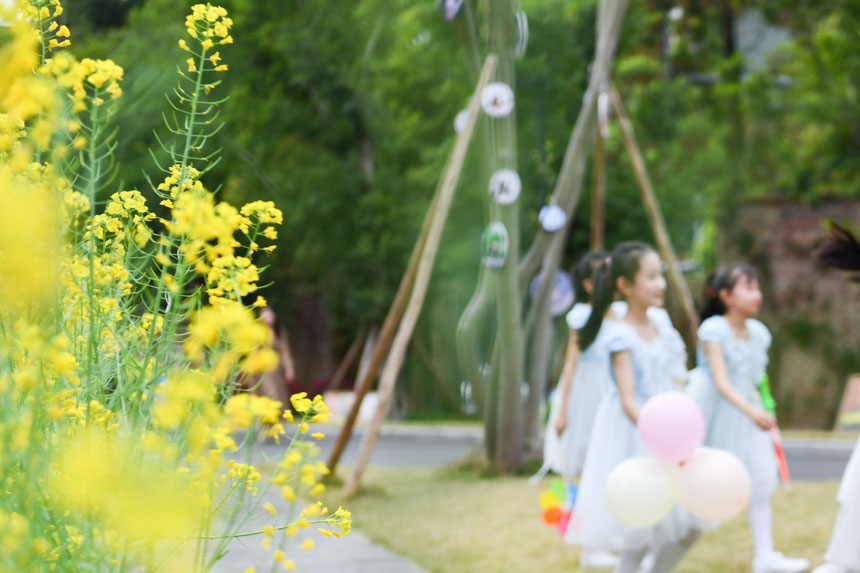 ɽ^(q)ͯСWУ@(ni)Ͳ˻(ni)_šuz