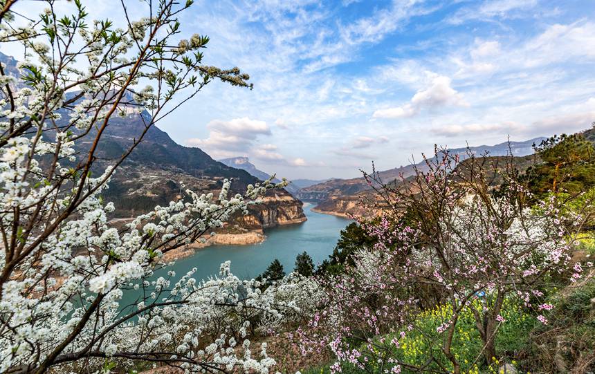 ؑcϴ^(q)ɽ(zhn)ԺǴɽ`ŵz