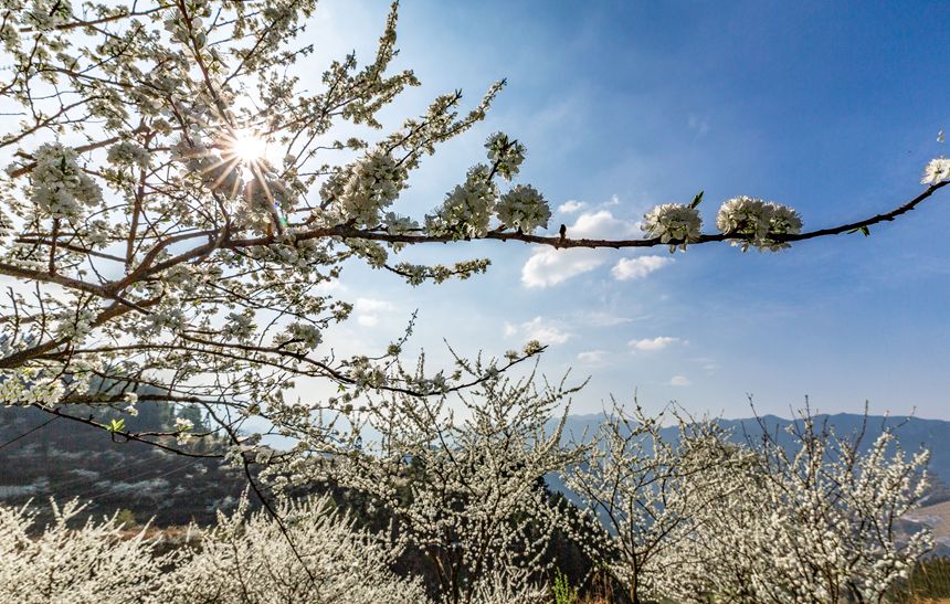 ؑcϴ^(q)ɽ(zhn)ԺǴɽ`ŵz