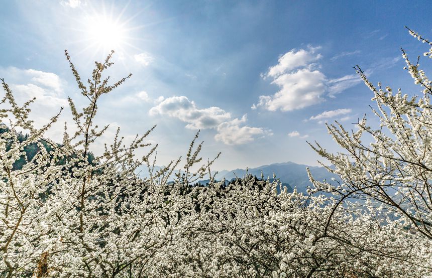 ؑcϴ^(q)ɽ(zhn)ԺǴɽ`ŵz