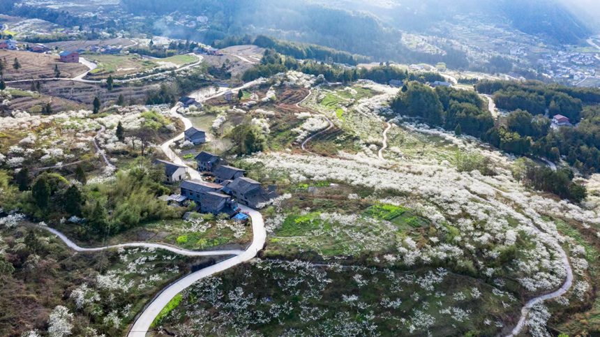 ؑcϴ^(q)ɽ(zhn)ԺǴɽ`ŵzo˙Cģ