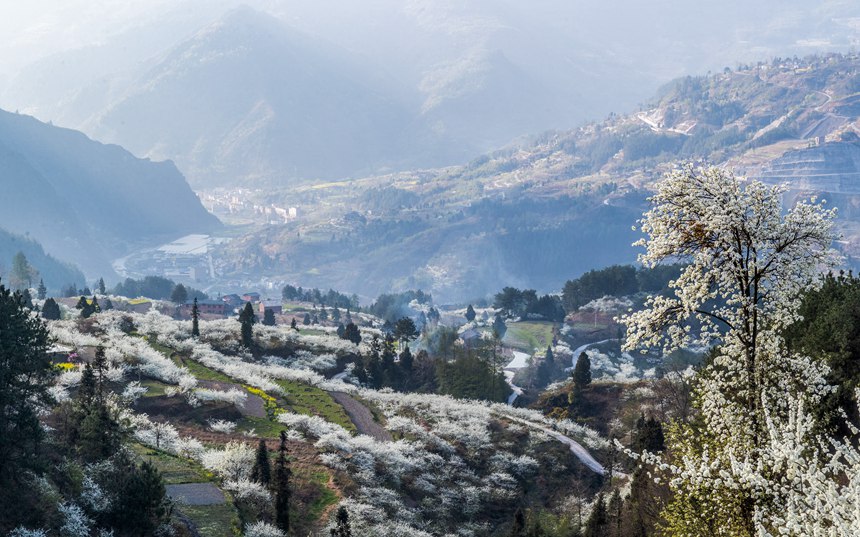 ؑcϴ^(q)ɽ(zhn)ԺǴɽ`ŵqzo(w)˙C(j)ģ