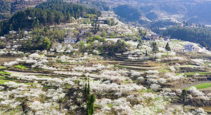 ؑcϴ^(q)ɽ(zhn)ԺǴɽ`ŵqzo˙Cģ