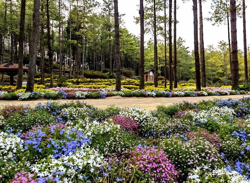 ľl(xing)»@r`SӔz