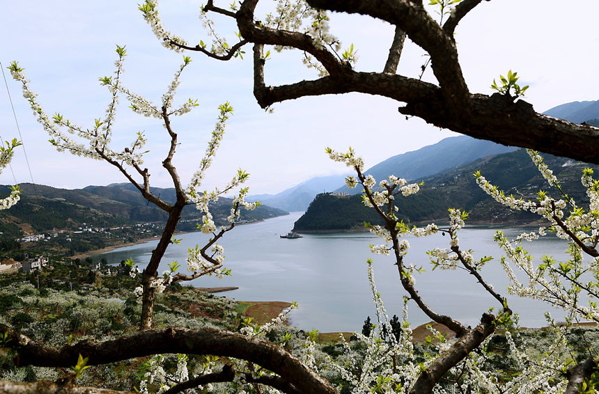 ؑcɽhl(xing)f஀ʢ_Rȑcz