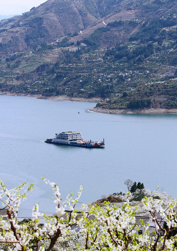 ؑcɽhl(xing)f(wn)஀ʢ_(ki)Rȑcz