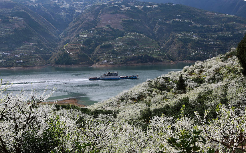 ؑcɽhl(xing)f஀ʢ_Rȑcz