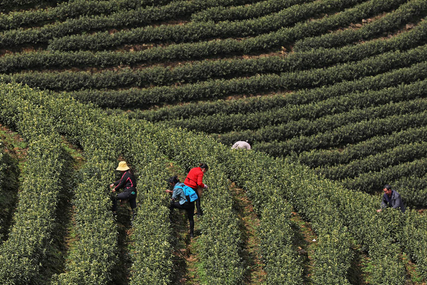 (zhn)Ĳ@һƬwz