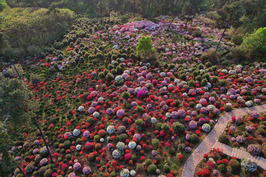 һش͵ĶNһɫĴĢHЩGҰۙζz