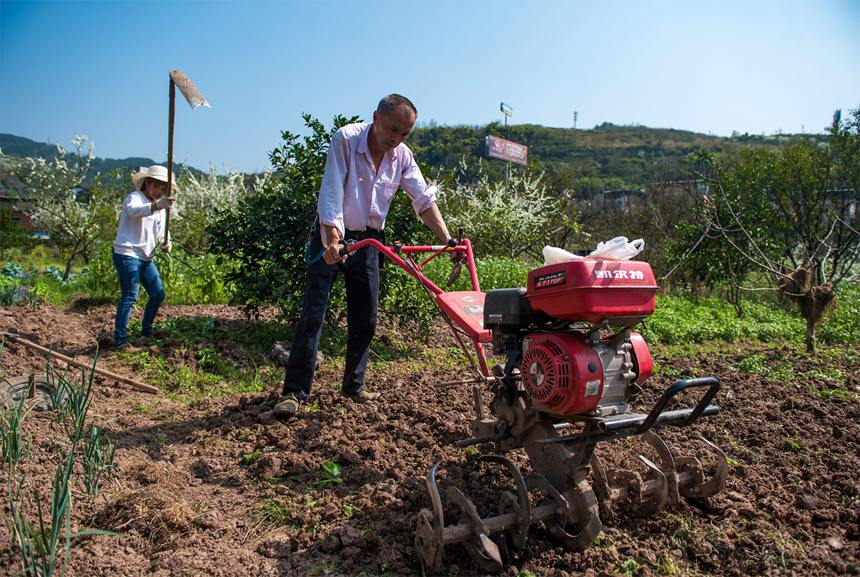 L(zhng)(zhn)ˮһɷæGz