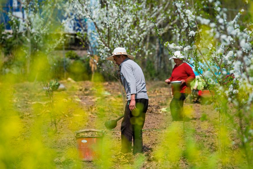 r(nng)ץr(nng)r(sh)ӾoN硣Gz